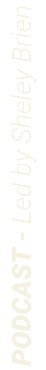 Vertical text reads: "PODCAST - Led by Shelley Brien" on a plain background, highlighting insights into commercial construction Arizona.